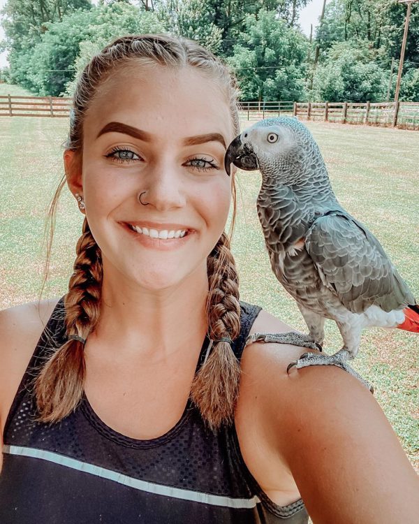 TITOS-AFRICAN GREY PARROTS