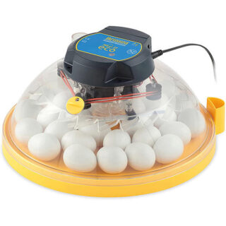 Brinsea Maxi II Eco Incubator
