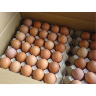 FRESH CHICKEN TABLE EGGS